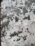 Patagonia BOHEMIA 11744-3.jpeg